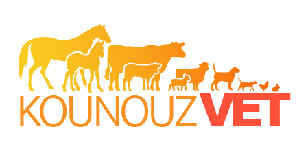 kounouzvet