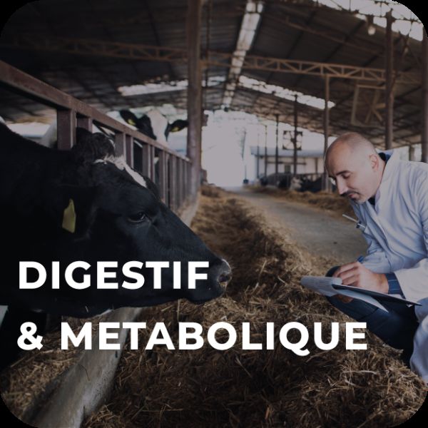 DEGESTIF ET METABOLIQUE