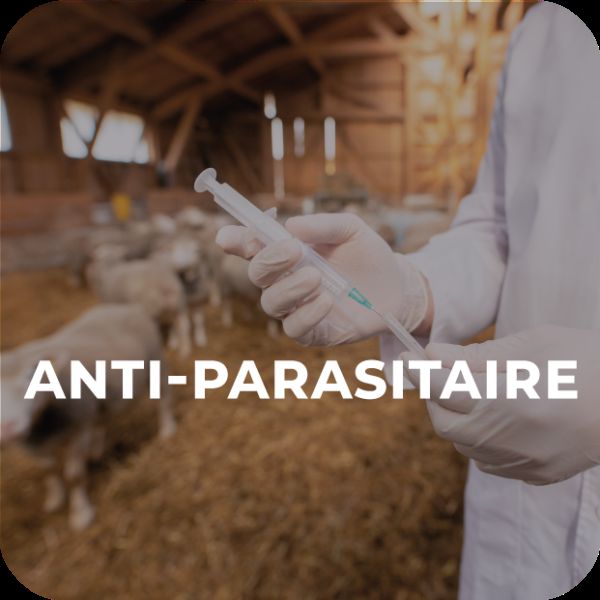 ANTI PARASITAIRE