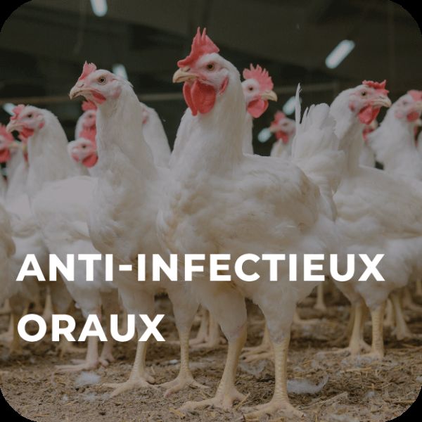 ANTI INFECTIEUX ORAUX