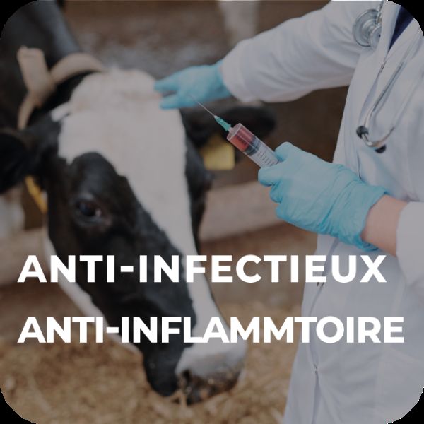 ANTI INFECTIEUX ANTI INFLAMMATOIRES